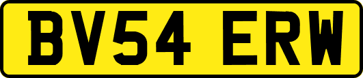 BV54ERW