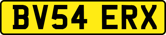 BV54ERX
