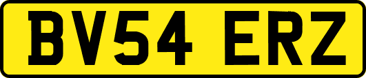 BV54ERZ