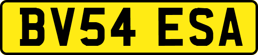BV54ESA