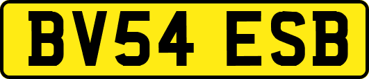 BV54ESB
