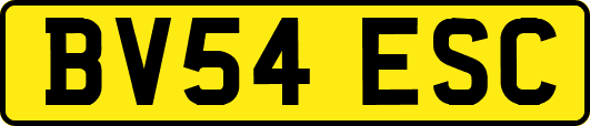 BV54ESC