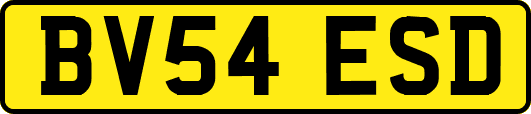 BV54ESD