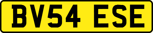 BV54ESE