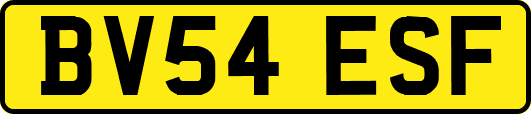 BV54ESF