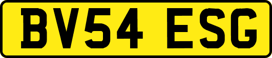 BV54ESG