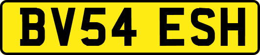 BV54ESH