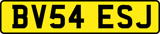 BV54ESJ