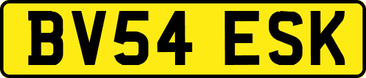 BV54ESK