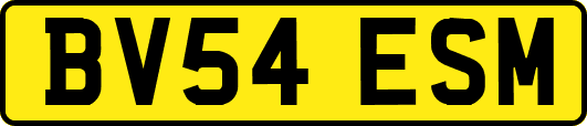 BV54ESM