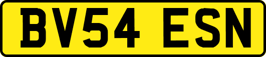 BV54ESN