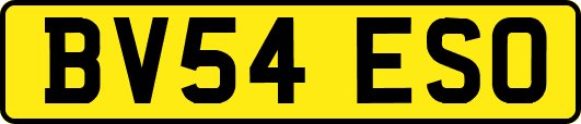 BV54ESO