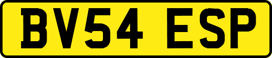 BV54ESP