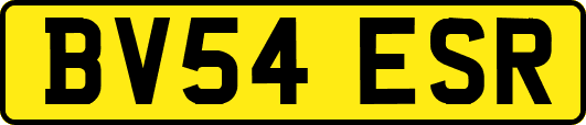 BV54ESR