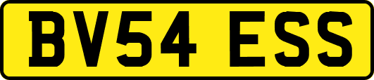BV54ESS