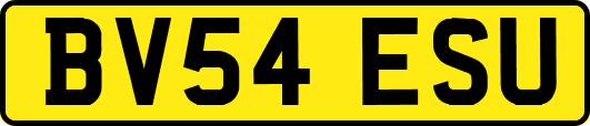 BV54ESU