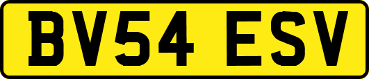 BV54ESV