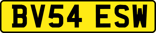 BV54ESW