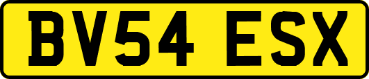 BV54ESX
