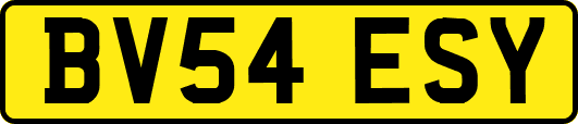 BV54ESY