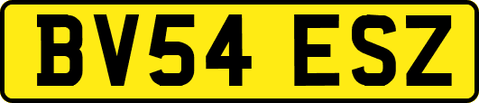 BV54ESZ
