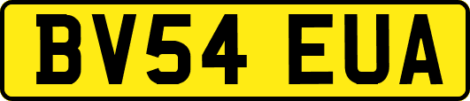 BV54EUA