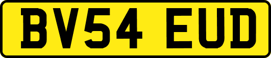BV54EUD