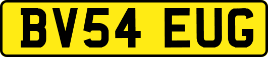 BV54EUG