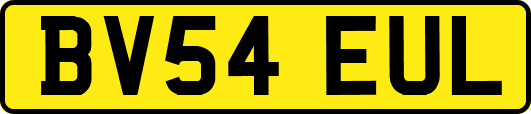 BV54EUL