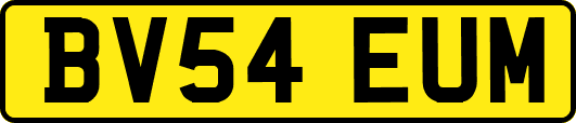 BV54EUM