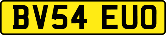 BV54EUO