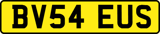 BV54EUS