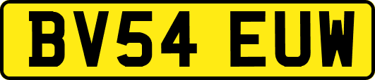 BV54EUW