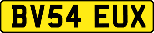BV54EUX