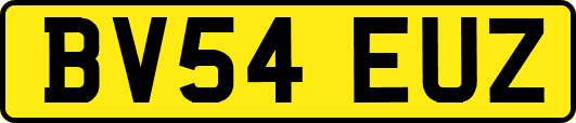 BV54EUZ
