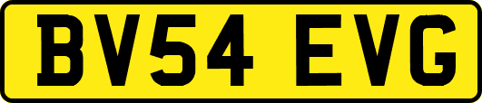 BV54EVG