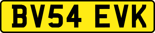 BV54EVK