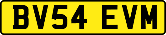 BV54EVM