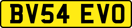 BV54EVO