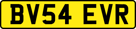 BV54EVR