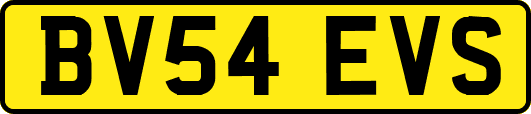 BV54EVS