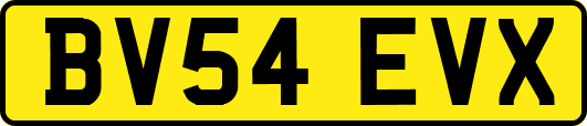 BV54EVX