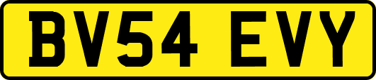 BV54EVY
