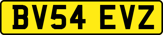 BV54EVZ