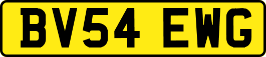 BV54EWG