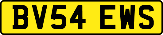 BV54EWS