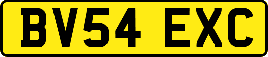 BV54EXC