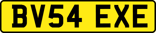 BV54EXE