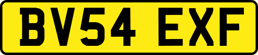 BV54EXF