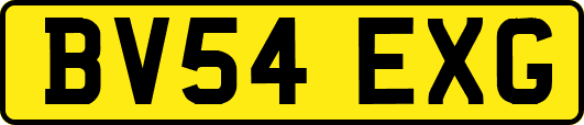 BV54EXG